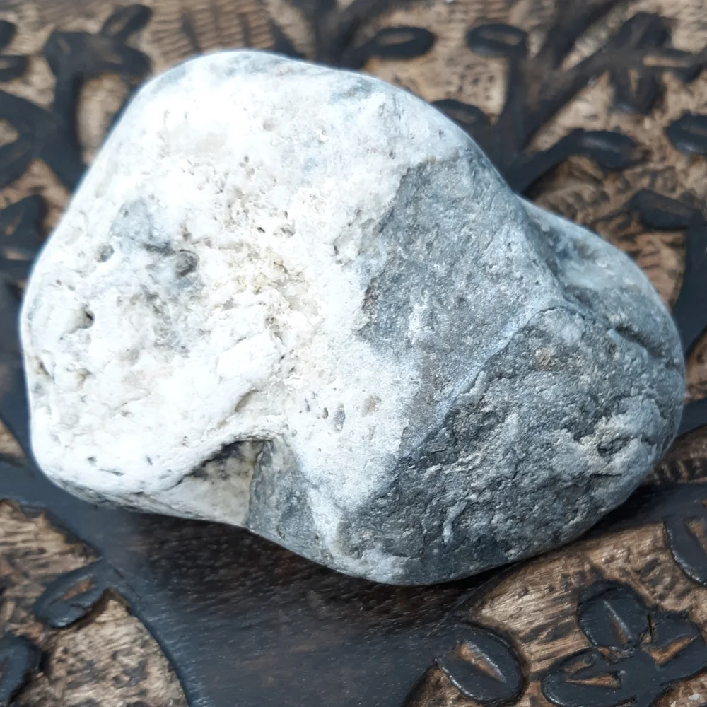 Maine Mottled Stone East Coast Lucky Beach Rock Raw Mineral Specimen Gray White